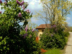 P1060836