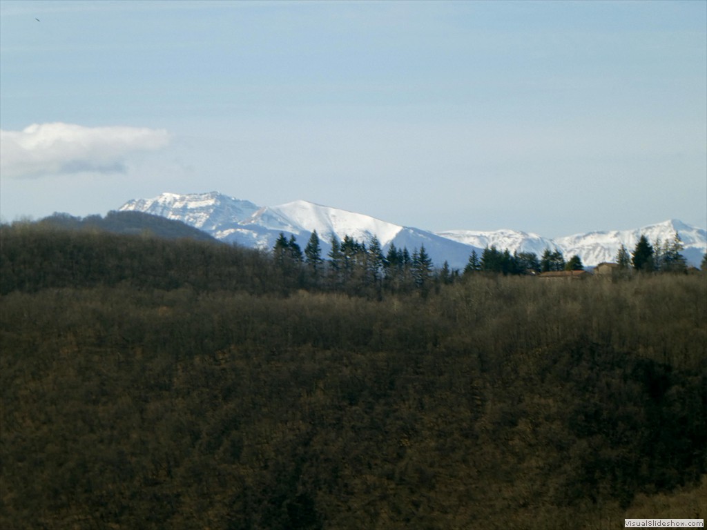 P1060538