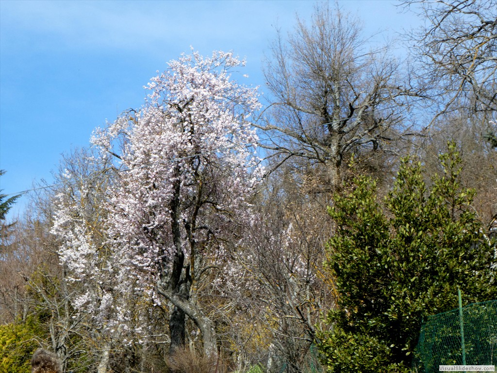 P1060541