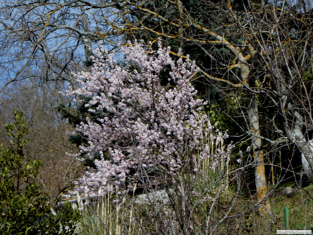 P1060542