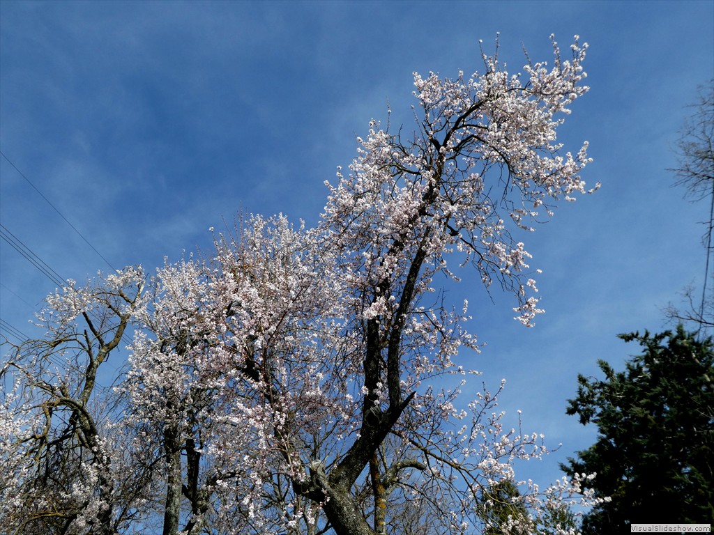 P1060544