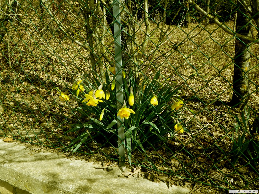 P1060545