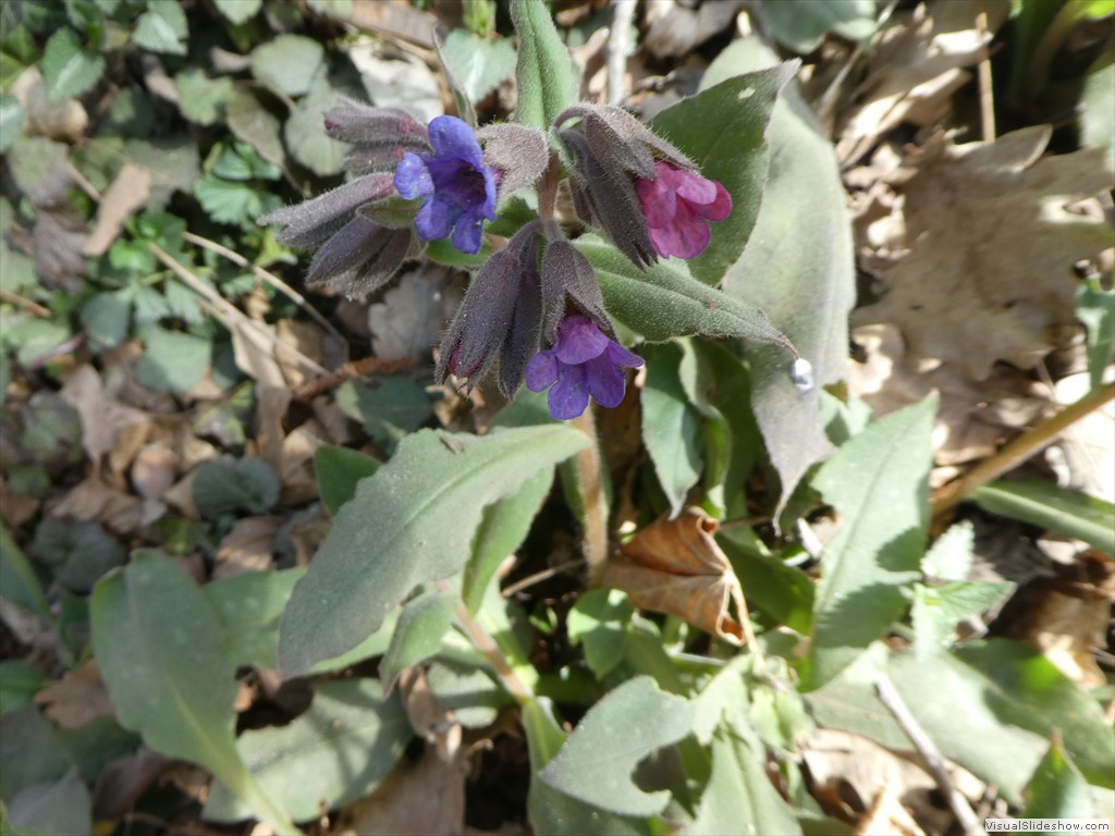P1060548