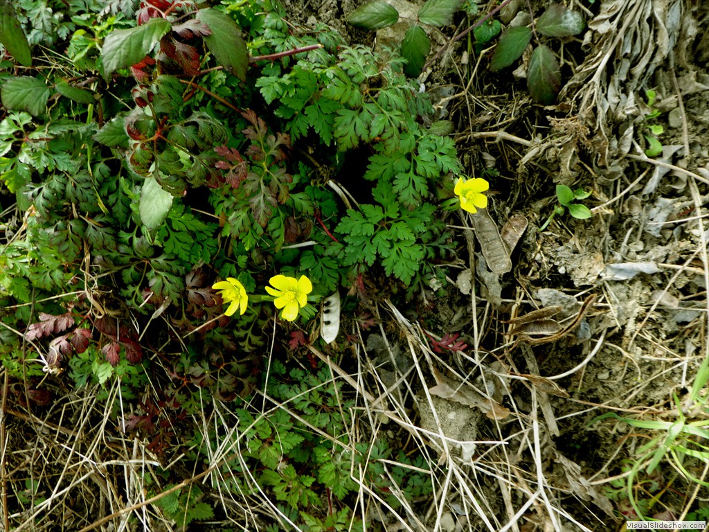P1060552