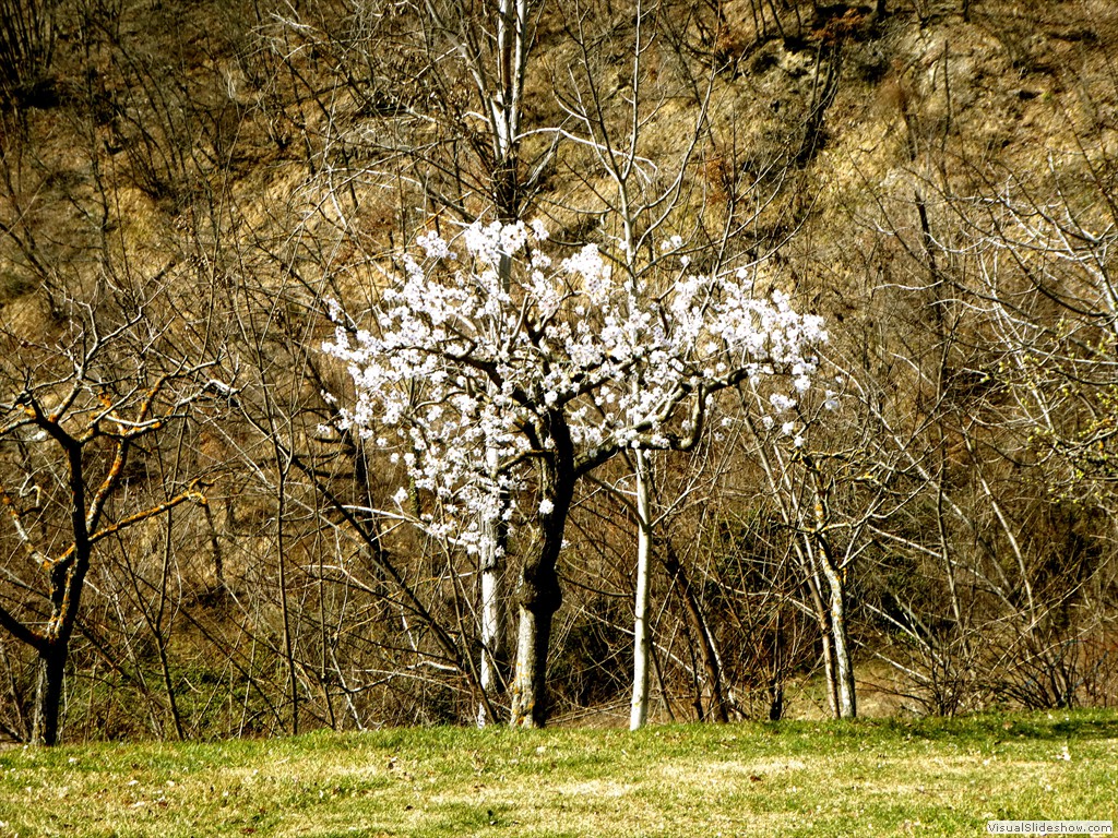 P1060554
