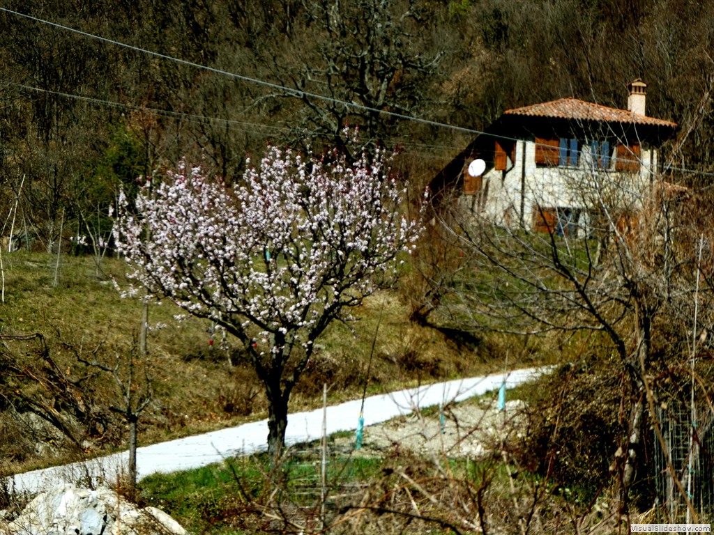 P1060556