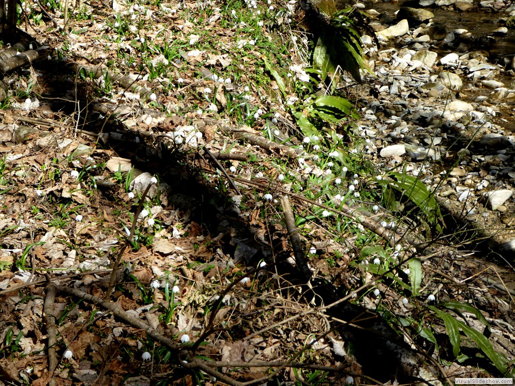 P1060559