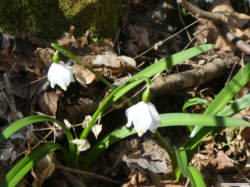 P1060560