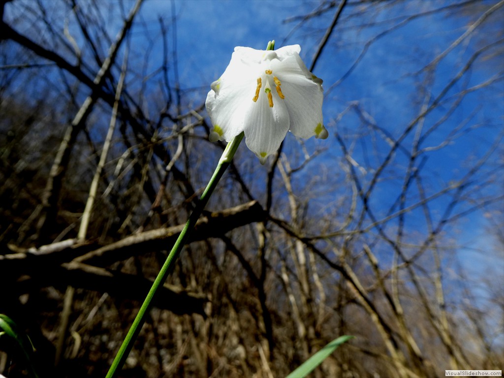 P1060565