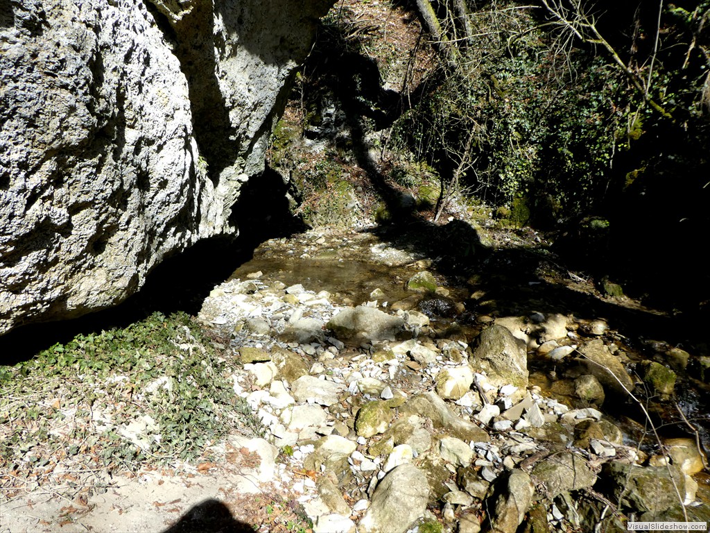 P1060566