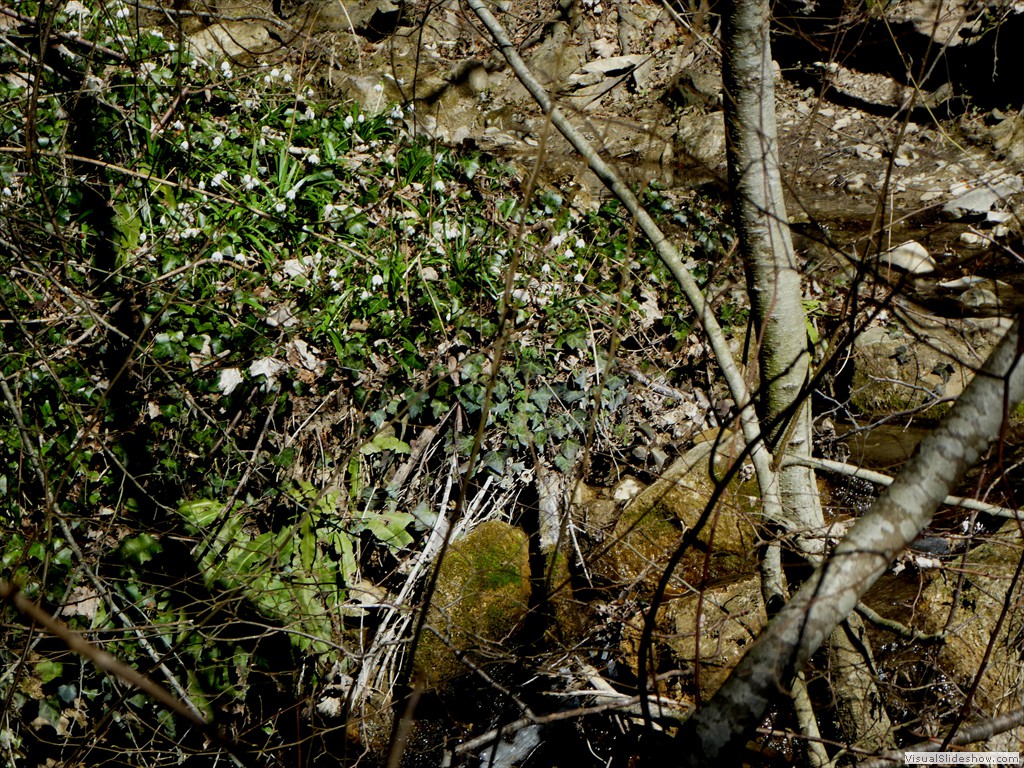 P1060569