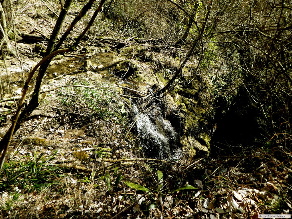 P1060570