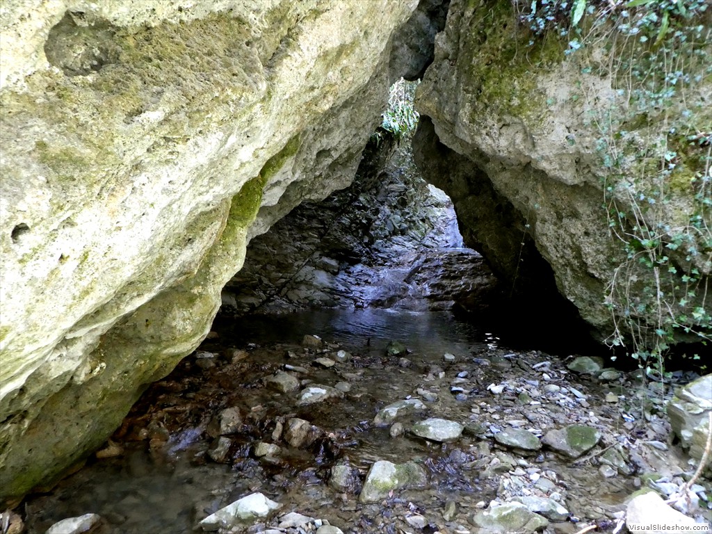 P1060574