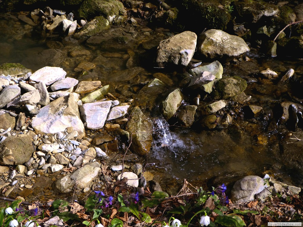 P1060578