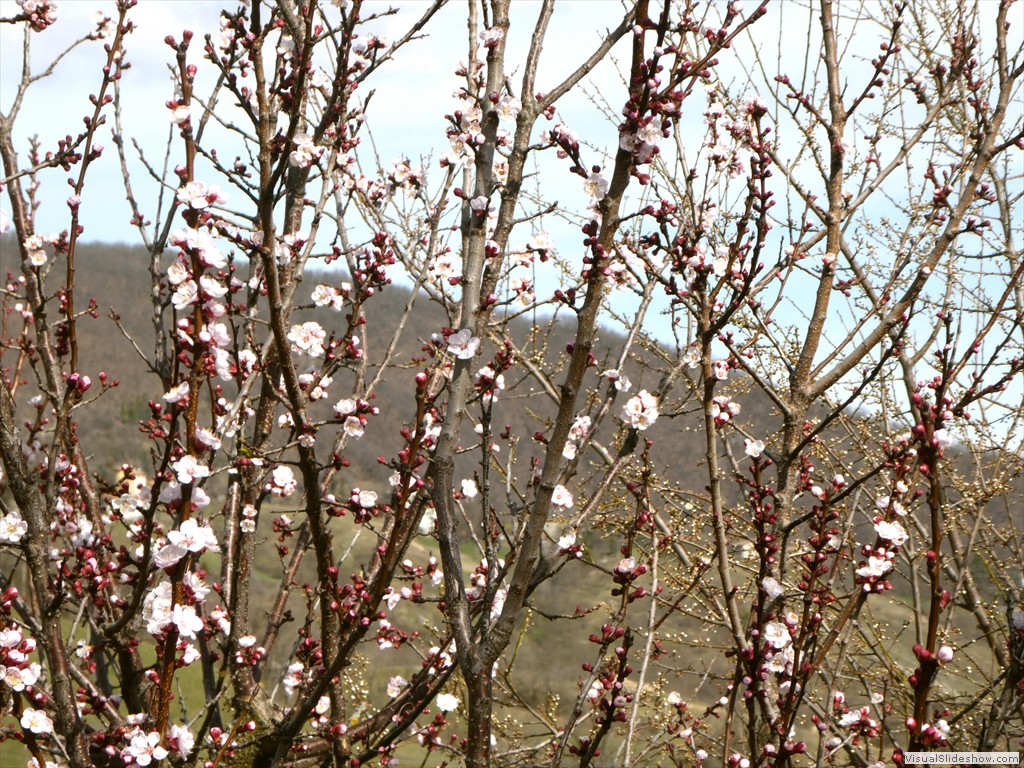 P1060586
