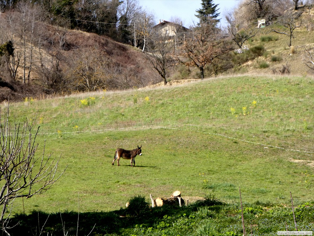P1060596