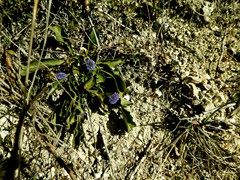 P1060537
