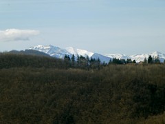 P1060538