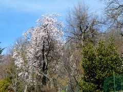 P1060541