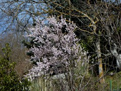 P1060542