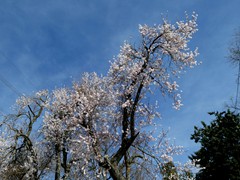 P1060544