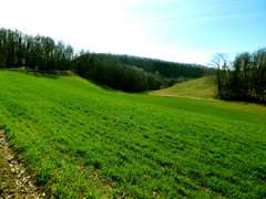 P1060550