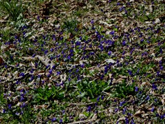 P1060553