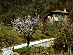 P1060556