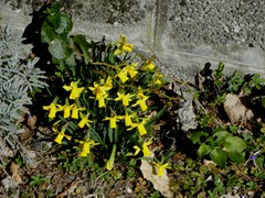 P1060557