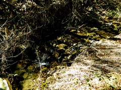P1060558