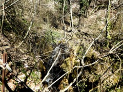P1060568