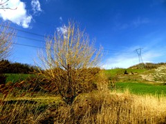 P1060593