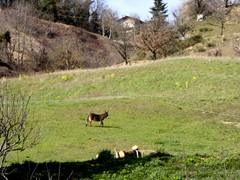 P1060596