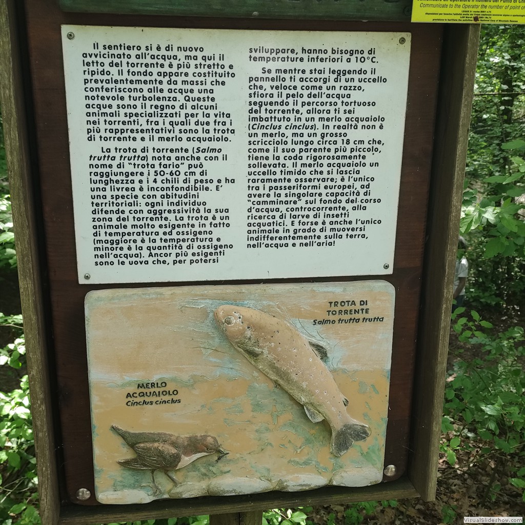 IMG_20220518_120053