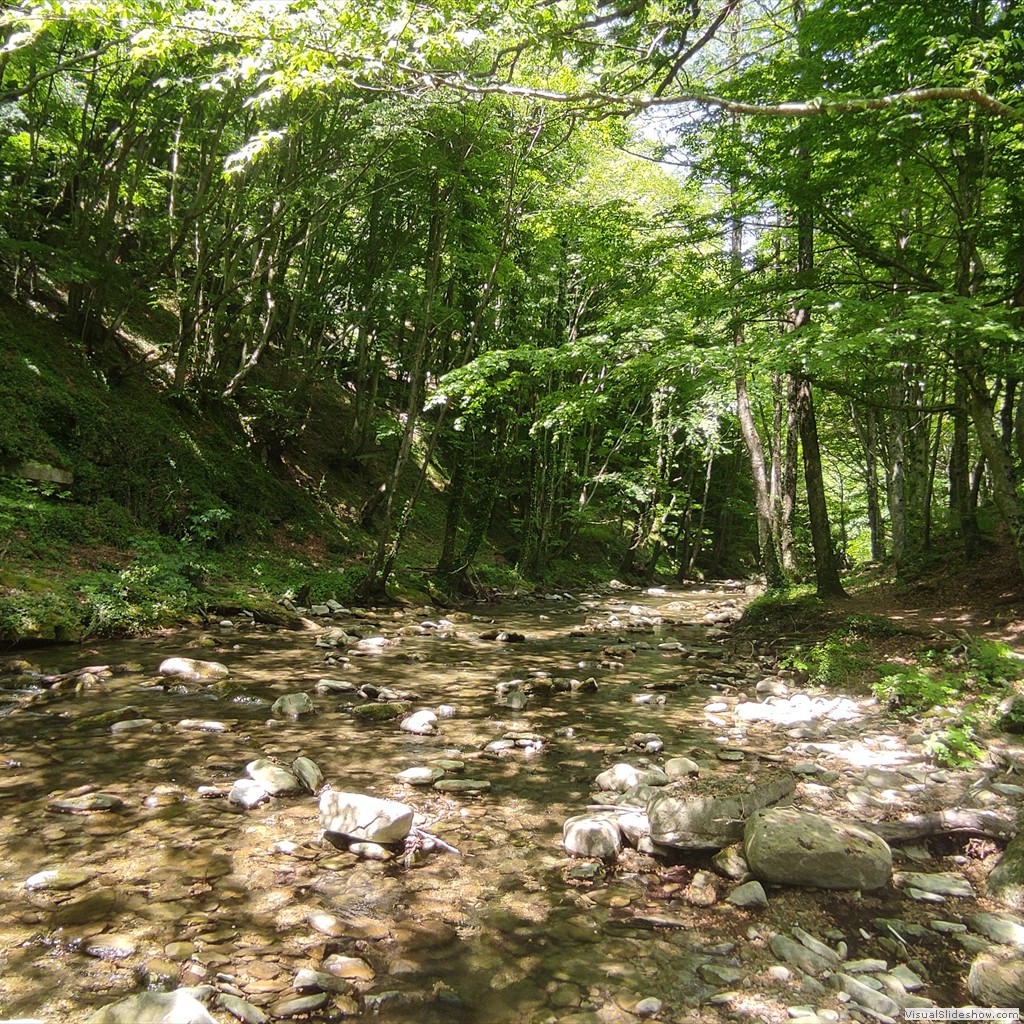 IMG_20220518_125823