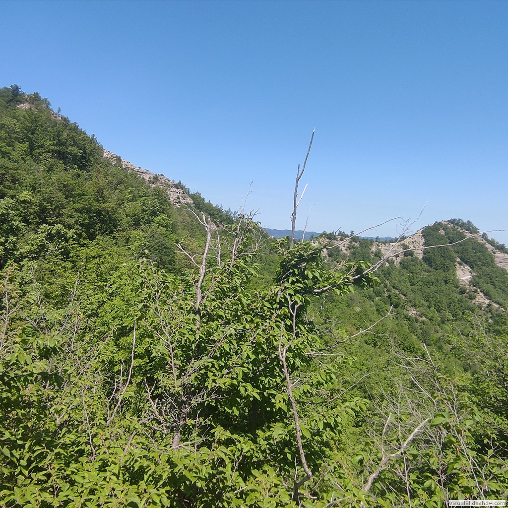 IMG_20220519_114844