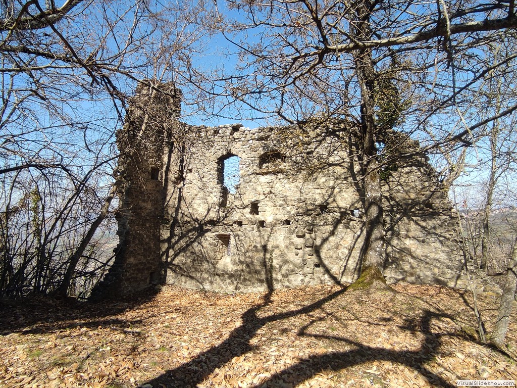 IMG_20220309_125808