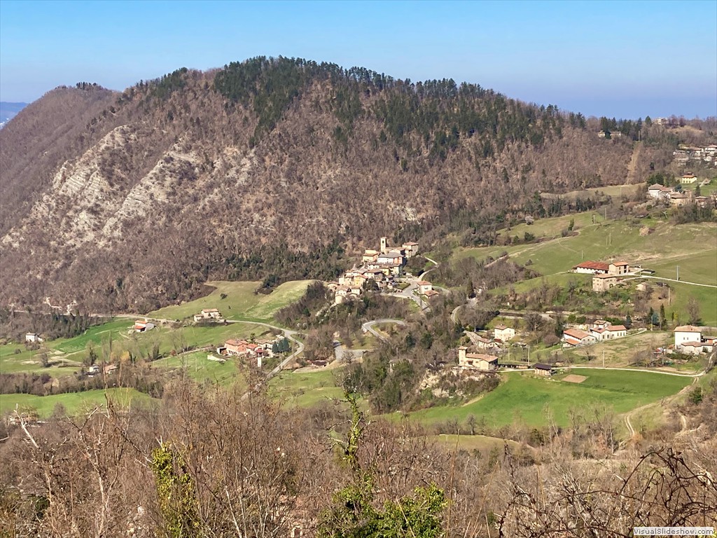 IMG_2636 1