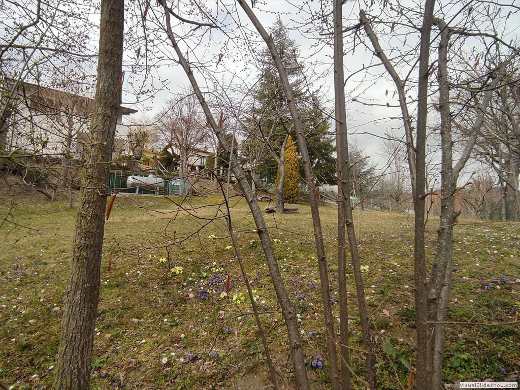 IMG_20220316_141146