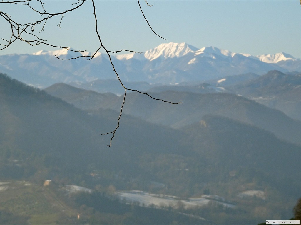 DSC03065
