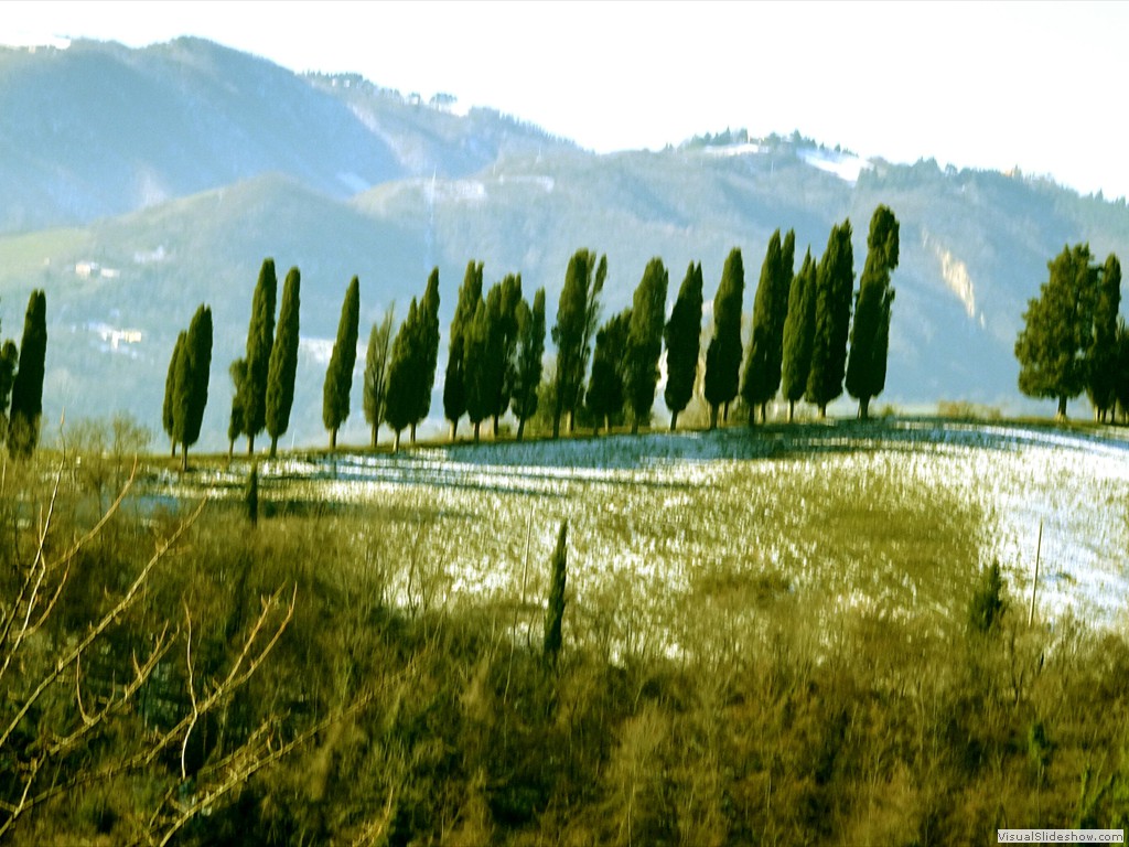 DSC03075