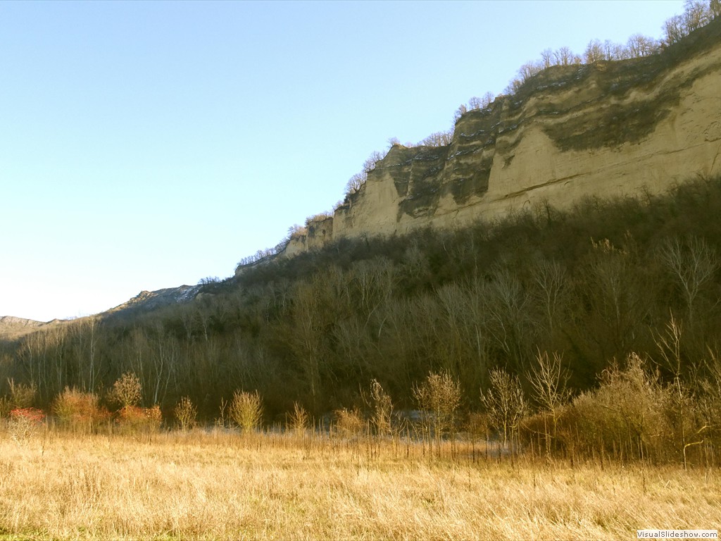 DSC03083