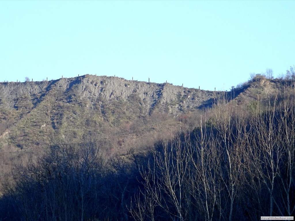 DSC03084