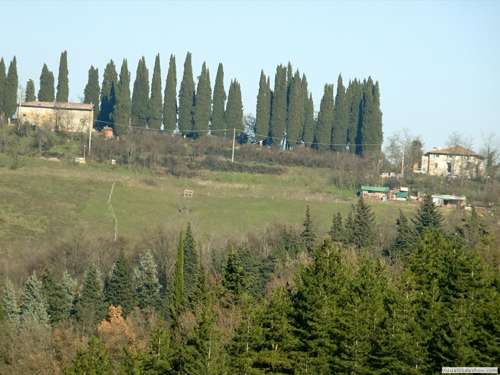 DSC03092