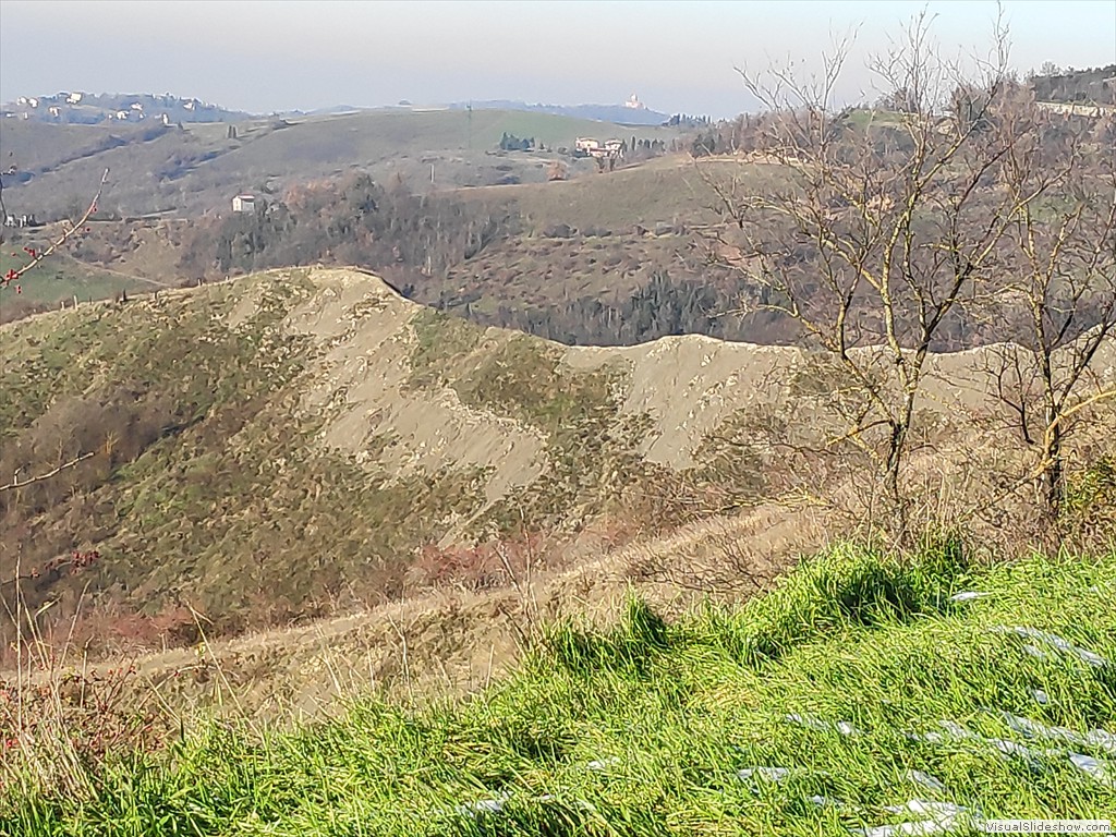 IMG_20210113_144419_1