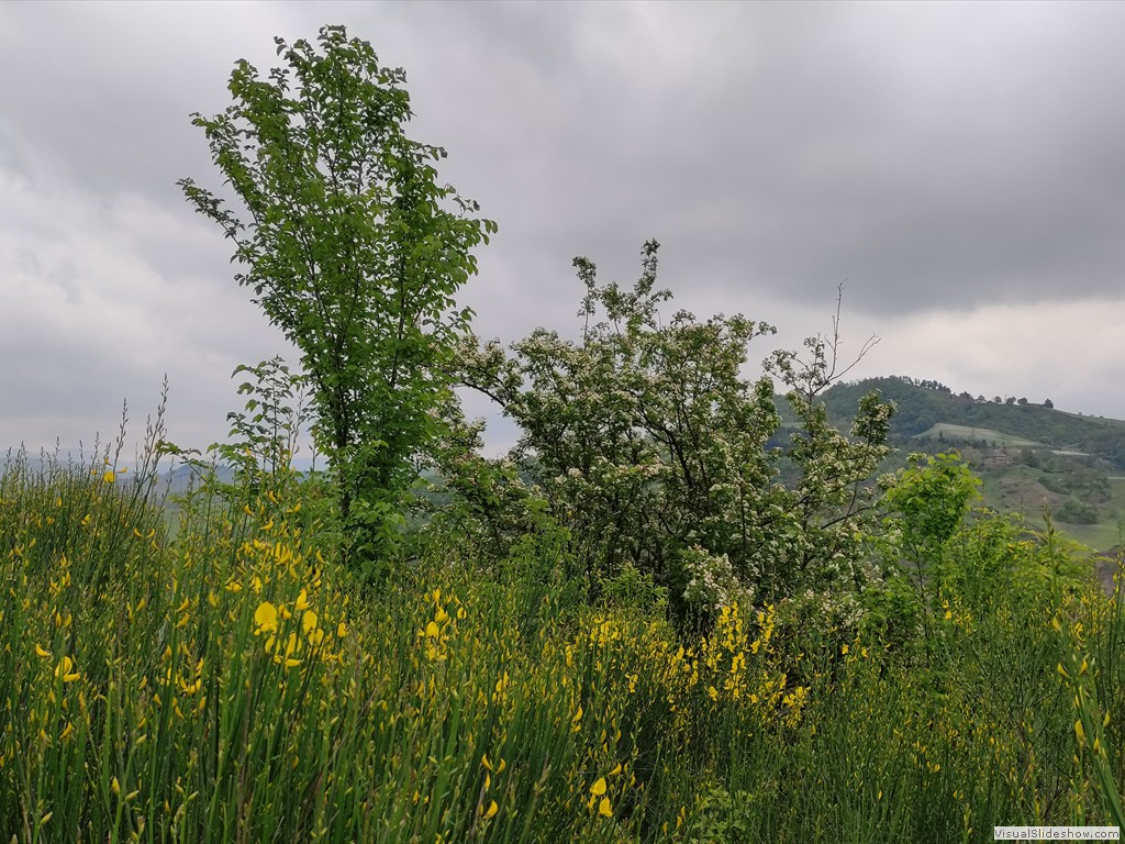 IMG_20210428_140208