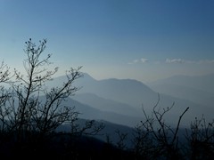 P1040550