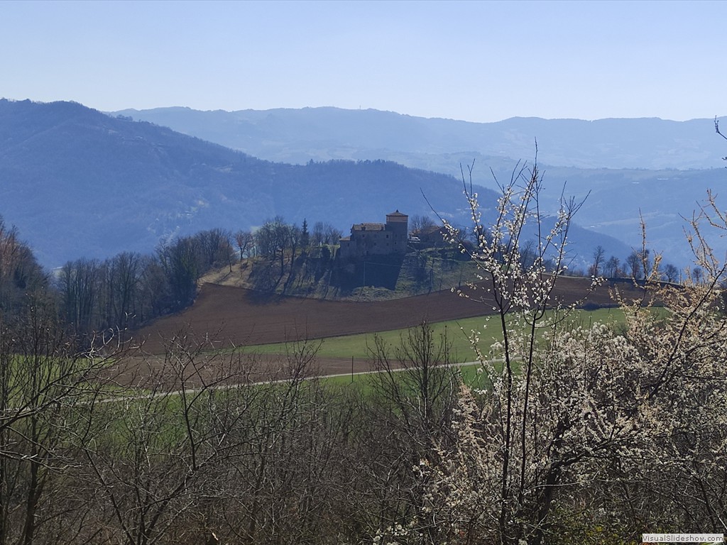 IMG_20220323_115009