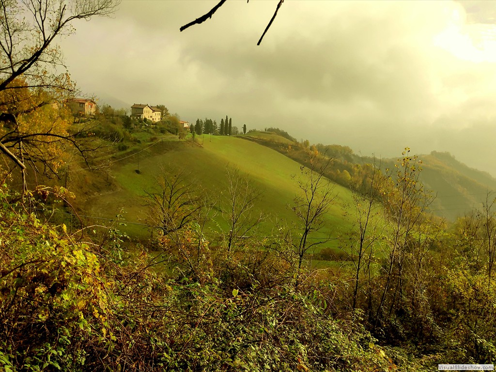 IMG_20191120_105732