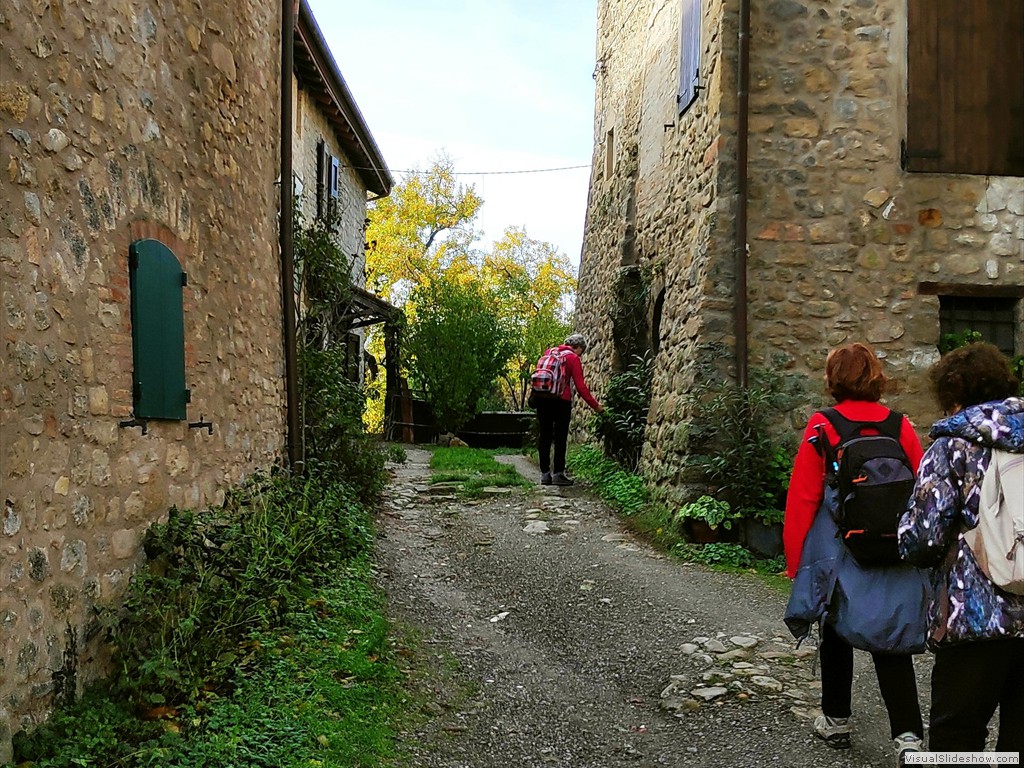IMG_20191120_111358